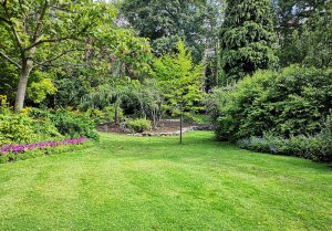 Optimiser l'expérience du jardin à Vecquemont